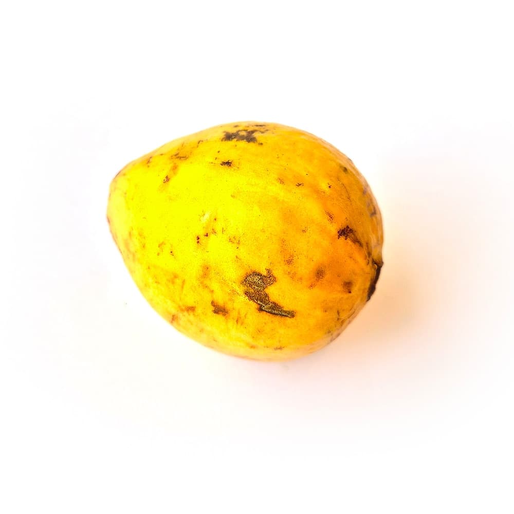 Goyavier