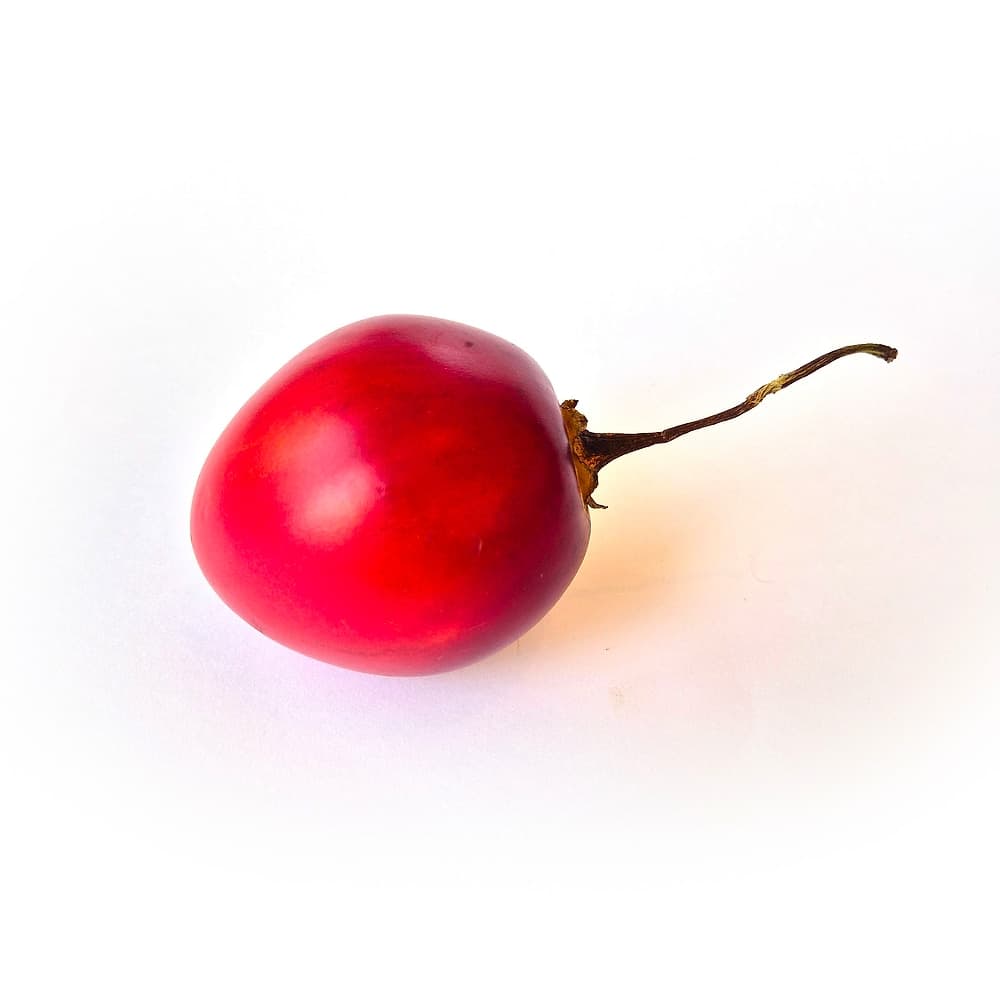 Tamarillo