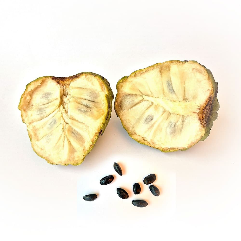 Pomme cannelle