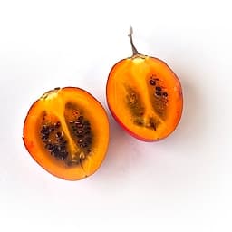 Tamarillo