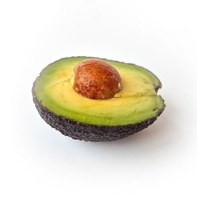 Avocatier