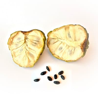 Attier (pommier cannelle)