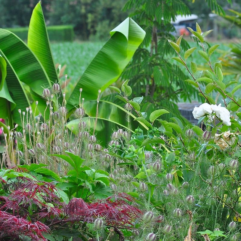 Jardin des Molliats