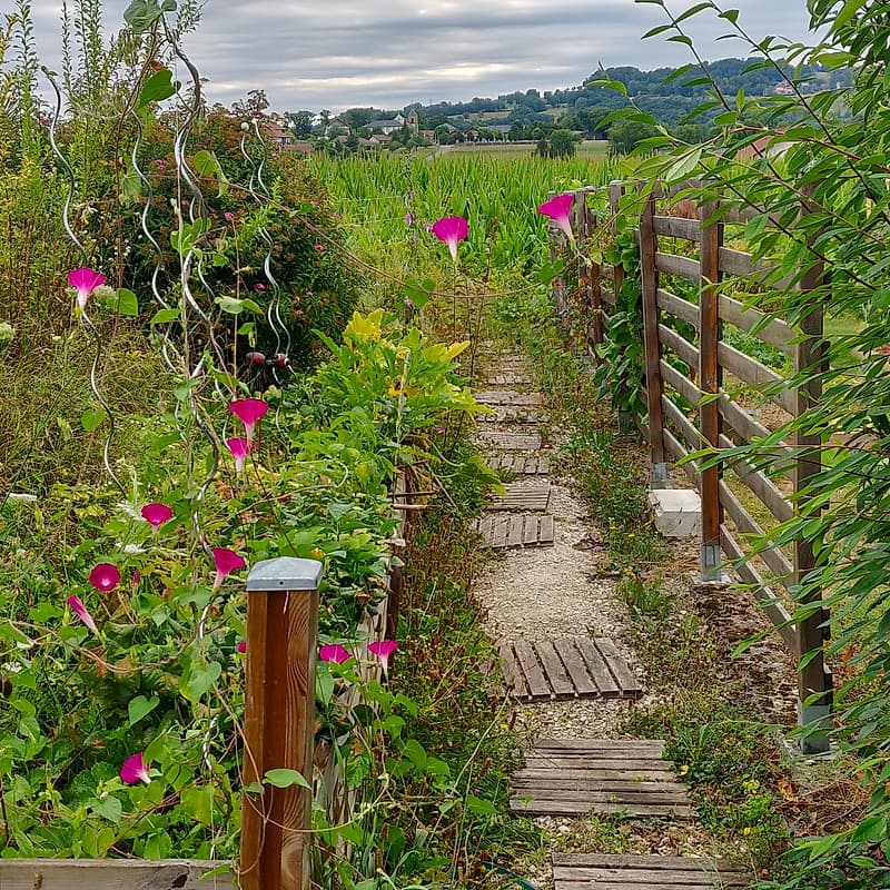 Potager bas