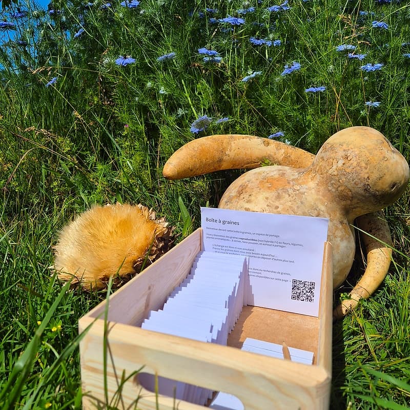 Boîte à graines de Sâles 