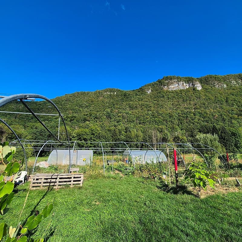 FERMACULTURE