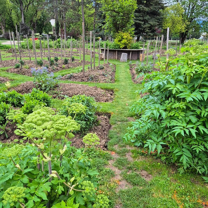 Un potager dans la ville