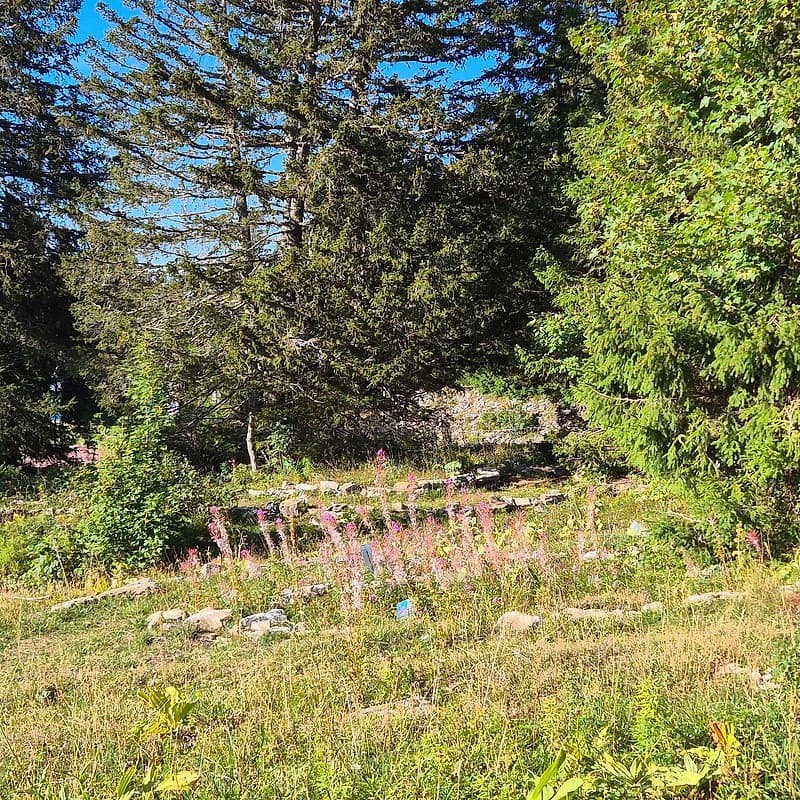 Jardin Alpin du Semnoz