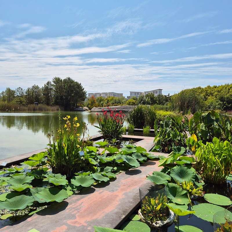 Jardin botanique de Bordeaux