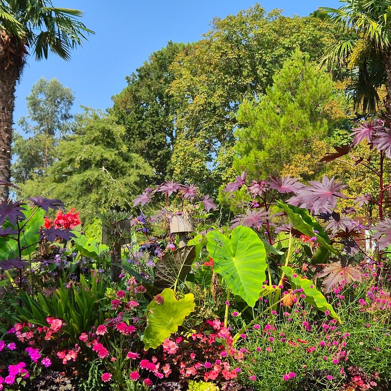 Parc Mauresque